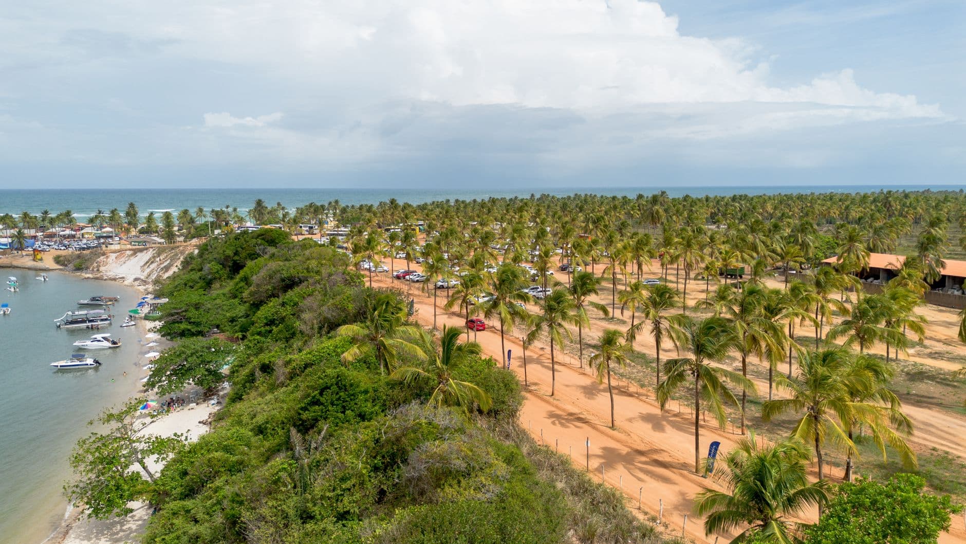 Explore the breathtaking aerial view of Maceió's tropical beach lined with palm trees and calm ocean waters.