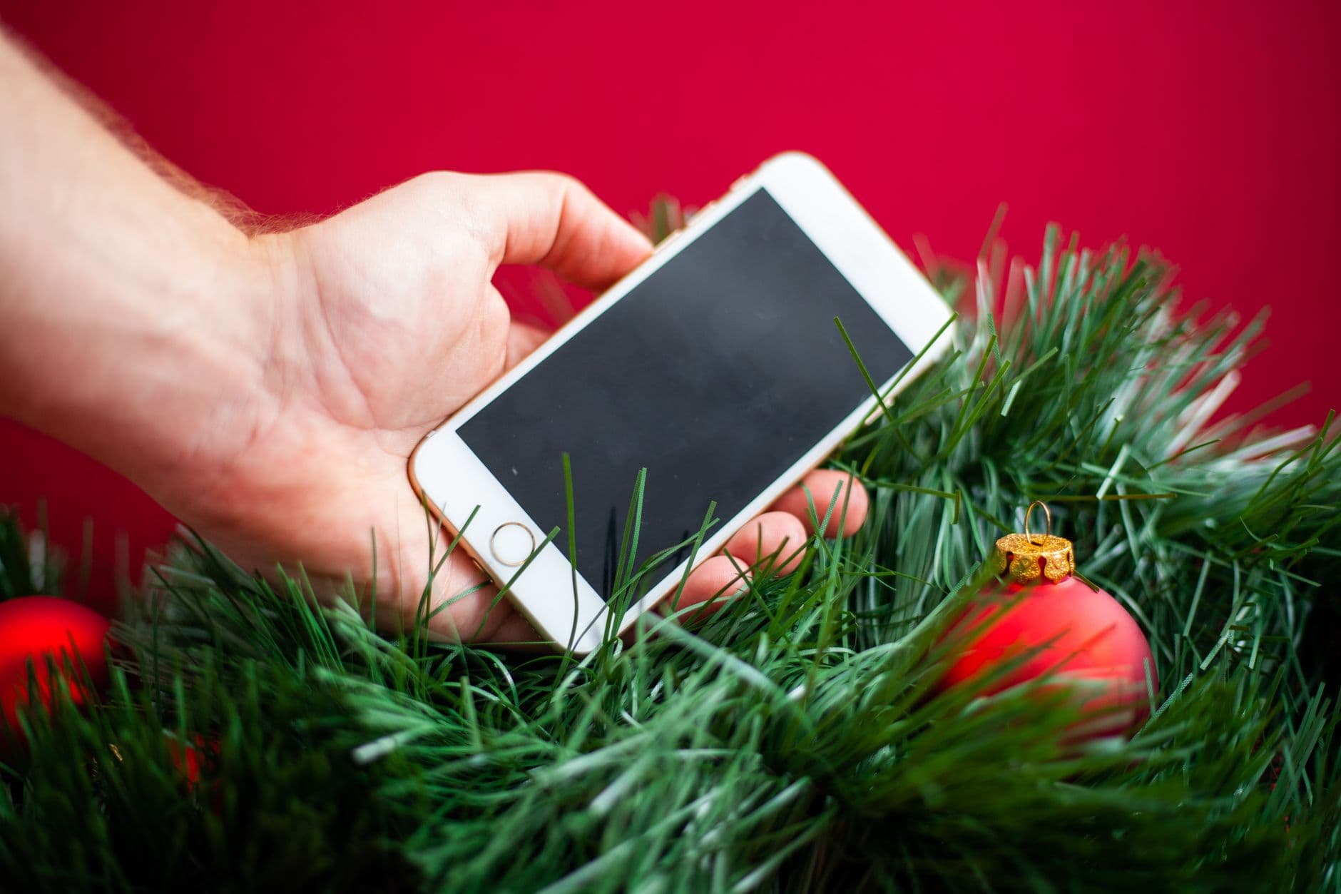 Hand holding a smartphone surrounded by Christmas decorations and pine leaves against a red background.